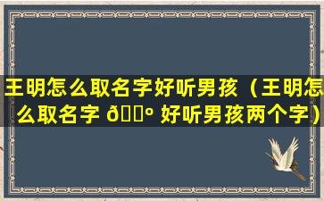 王明怎么取名字好听男孩（王明怎么取名字 🌺 好听男孩两个字）